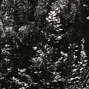 Peter Eastman, Yellow Light, oil on aluminium, 73x98 cm. Courtesy of Barnard Gallery