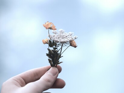 Por una sociedad respetuosa con el medio y con el otro