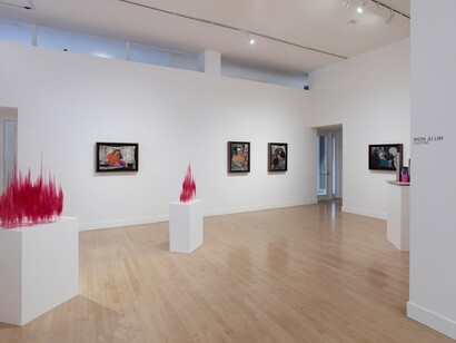Won Ju Lim. Casting, Exhibition view. Courtesy of Haines Gallery