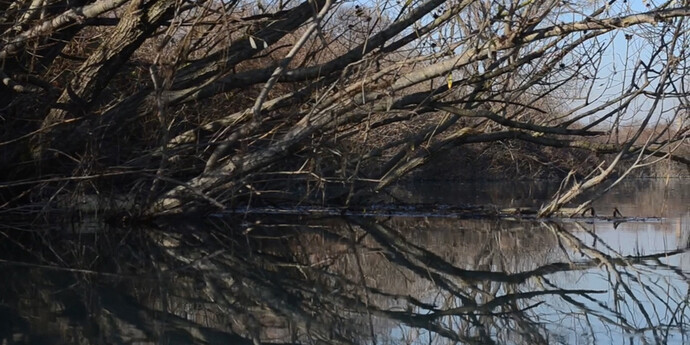Pedro Vaz, Segunda Natureza, 2017, still da video. Doppia proiezione video, (2x) 1080x1440px, 4/3, loop. Doppia struttura di proiezione, (2x) 120x160x70cm. Legno, tela per proiezione.
