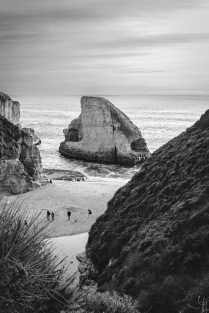 Andy Lagunes, Shark fin cove, 2022. Courtesy of 1202 Contemporary