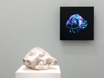 Agnieszka Kurant, Variantology, exhibition view. Courtesy of Lia Rumma Gallery