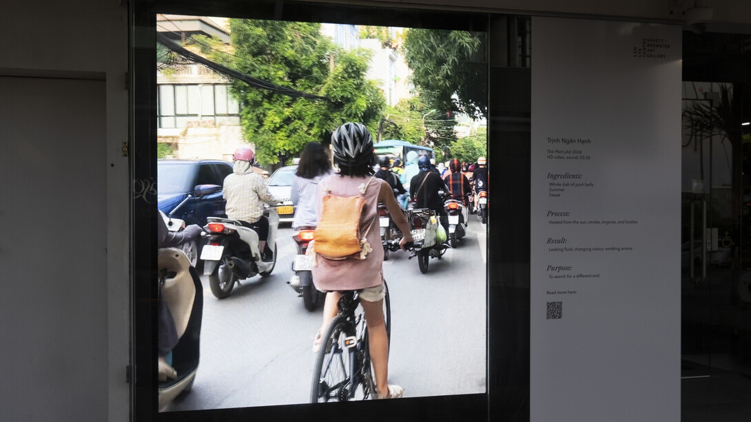 Open window: Trịnh Ngân Hạnh, thịt phơi phố, exhibition view. Courtesy of Govett-Brewster Gallery
