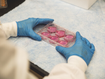 Two hands in plastics gloves holding a set of six medical samples