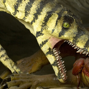 The evolution of Monte Pisano. Courtesy of Museo di Storia Naturale