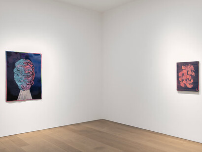 Robert Janitz, 1001 nights [ + 1 ], exhibition view. Courtesy of Canada Gallery