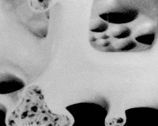 Image Spaces: Biology and Building. Courtesy of Museum für Fotografie
