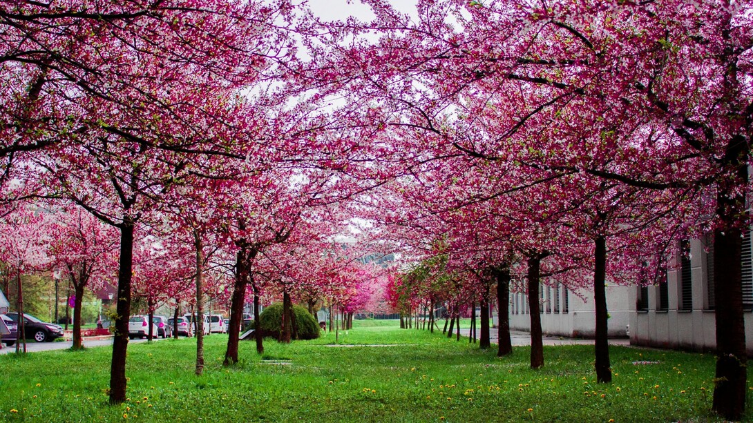 L’importante è restare muovendosi, ma solo dove c’è salvezza