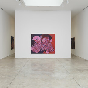 Yuan Fang, Spaying, exhibition view. Courtesy of Skarstedt Gallery