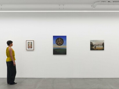 Ryan Driscoll, Tech Duinn, exhibition view. Courtesy of Anat Ebgi 