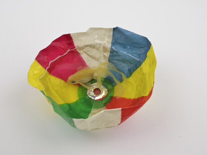 Riusuke Fukahori, Komari