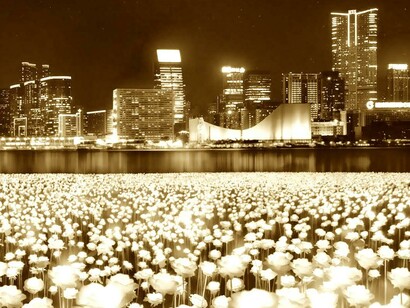 Light Rose Garden en China