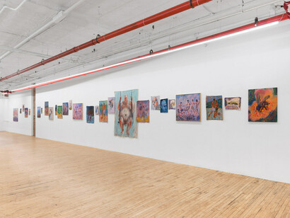 Andrej Dúbravský, Laboratory of flesh and balls, exhibition view. Courtesy of Gaa Gallery