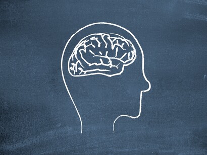 El cerebro humano