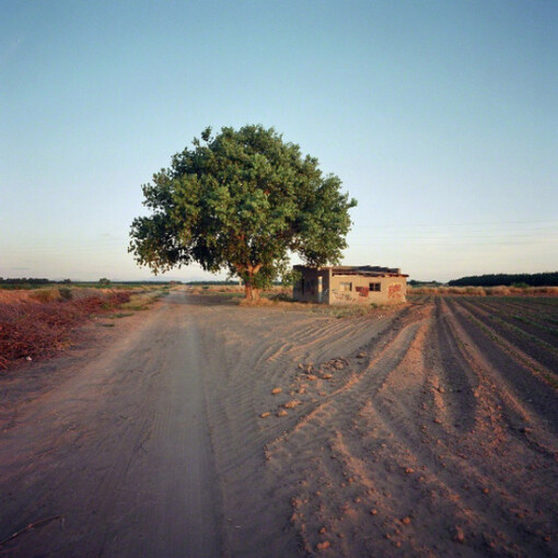 Landscapes and Interventions. Courtesy of Hathaway