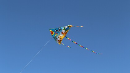 Las cometas llegan a los cielos de Bogotá en agosto