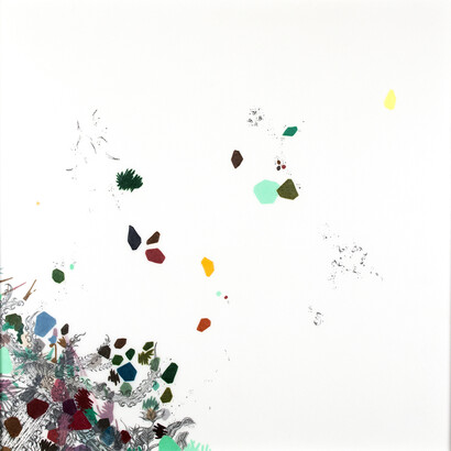 Leigh Anne Lester, Bewildering Diversification, graphite and colored pencil on drafting film, 12 x 12"