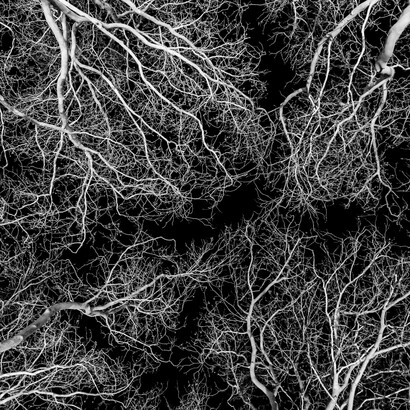 L’uomo è per sua natura senza luogo, straniero persino nello spazio che chiama casa