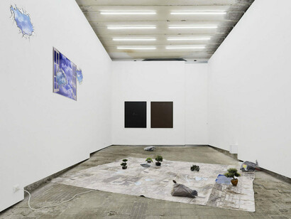 Catherine Biocca, Exhibition view. Courtesy of Frutta