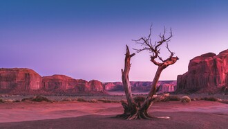 The relentless desertification of Planet Earth 