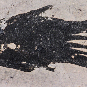 Fossile Fische und Amphibien. Courtesy of Museum für Naturkunde