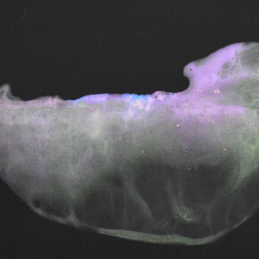 Stephanie Gonzalez, Nebula 10. Courtesy of BoxHeart Gallery