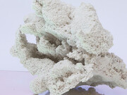 A futura memoria 2, jesmonite, 15x21x12 cm. Courtesy: l'artista e Alberto Peola, Torino.