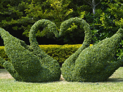 Topiarius significa paesaggio dipinto, affrescato