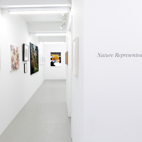 Various artists, Nature represented and reproduced, exhibition view. Courtesy of CLAMP