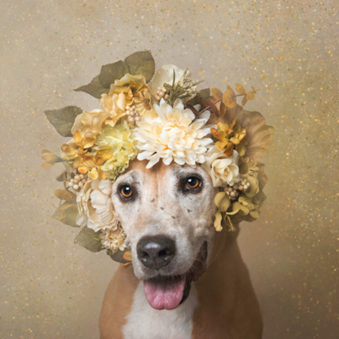 Flower Power. Courtesy of Russell Collection