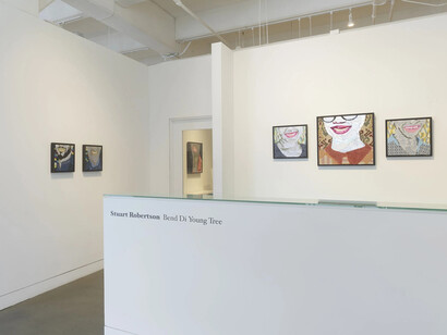 Stuart Robertson, Bend Di Young tree, exhibition view. Courtesy of Haines Gallery