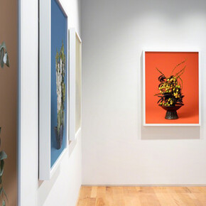 jane says. Courtesy of Denny Gallery