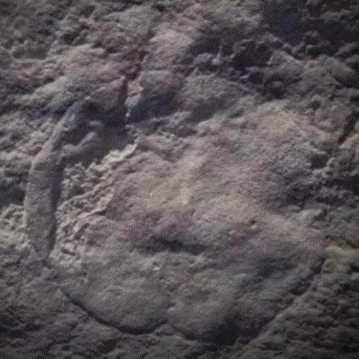 Impronta di Quaestio simpsonorum