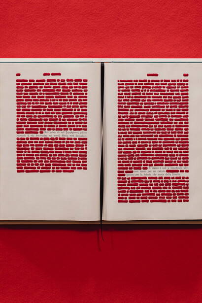 La cancellatura, superando la rigidità delle norme giuridiche, crea opere di impatto formale, incanalando attenzione e riflessione (foto di Valentina Cafarotti e Federico Landi)