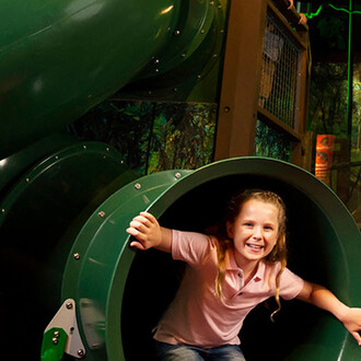 Enchanted rainforest, exhibition view. Courtesy of Queensland Museum Tropics
