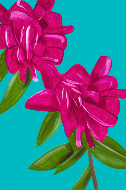 Alex Katz (b. 1927) Peonies, 2021, (54-100) Archival Pigment inks Print Edition of 100 Innova Etching Cotton Rag 315 gsm print paper 47 x 34 x 2 in