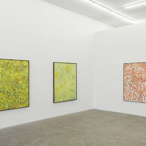 Montana Wildflowers. Courtesy of Praz-Delavallade