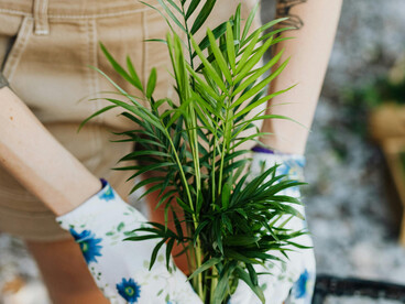 A close-up captures hands placing a plant into soil, surrounded by simple gardening tool