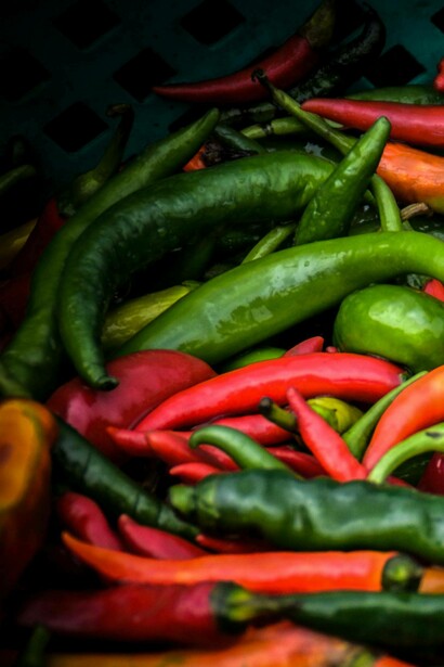 Mixed peppers for spicy food preparation 