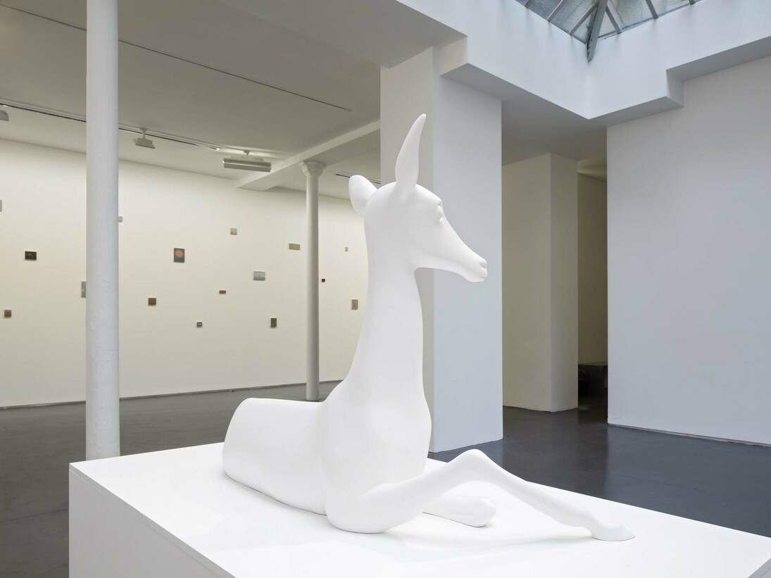 Miguel Branco, Spectres, Exhibition view. Courtesy of Jeanne Bucher Jaeger