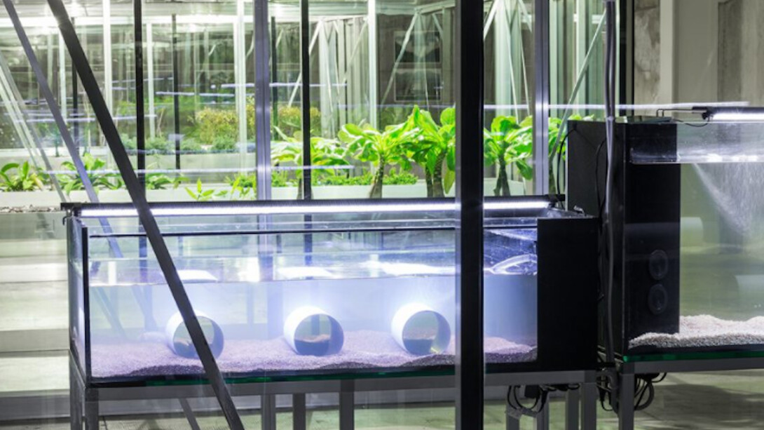 Extinct in the Wild, Exhibition view. Courtesy of Fondazione Prada