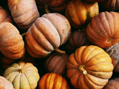 La Festa della zucca