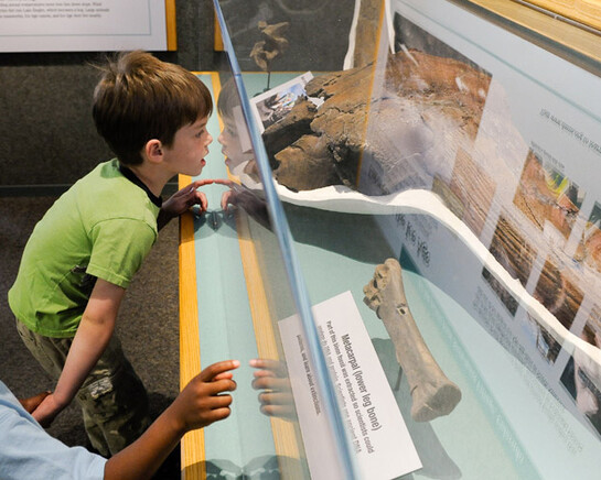 Prehistoric Journey. Courtesy of Denver Museum of Nature & Science