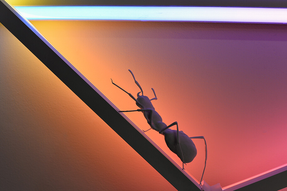 James Clar, Folded Space, 2016 LED lights, filters, snowglobe, 3D printed parts 120 x 85cm detail