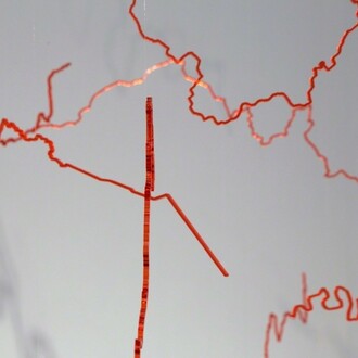 Intermittent Topographies, Exhibition view. Courtesy of Casa Nova Arte e Cultura Contemporanea