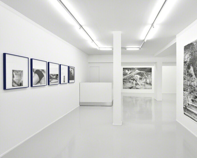 Zone, Exhibition view. Courtesy of Suzanne Tarasieve