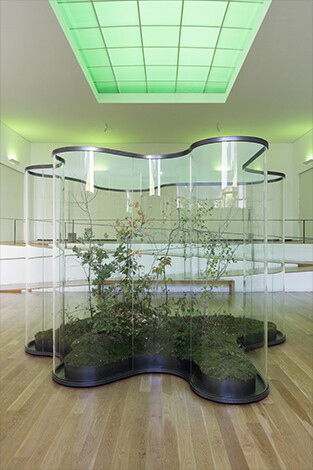 Daniel Steegmann Mangrané
A Transparent Leaf Instead Of The Mouth, 2016-2017 Installation view, Fundação de Serralves, Porto, 2017 Courtesy the artist and Esther Schipper, Berlin Photo: Andrea Rossetti