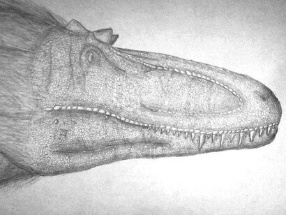 Illustrazione di un tirannosauro giovane