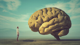 Gli apprendimenti sono situati nei due emisferi cerebrali