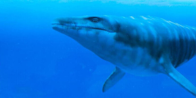 Mosasaur Hall. Courtesy of Royal Belgian Institute of Natural Sciences